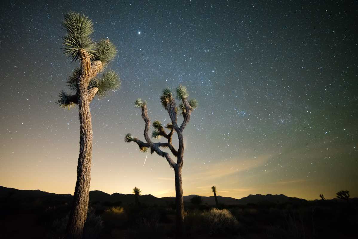 5 Romantic Desert Getaways in Joshua Tree